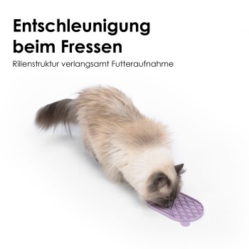 Eine flauschige Katze frisst von einer strukturierten lila langsamen Futtermatte mit dem Text "Entschleunigung beim Fressen" und "Rillenstruktur verlangsamt Futteraufnahme."