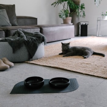 Ein gemütliches Wohnzimmer mit einer grauen Katze, die auf einem gewebten Teppich entspannt, mit zwei schwarzen Futternäpfen auf einer Matte im Vordergrund.