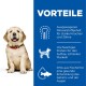Science Plan Puppy Large Breed 14,5 kg
