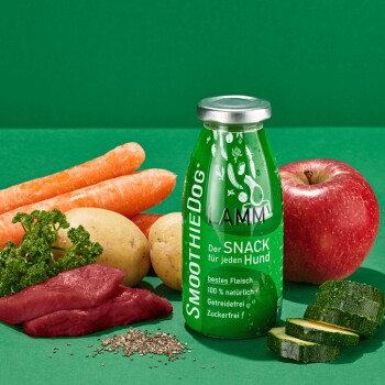Grüner Hintergrund mit einer "SmoothieDog"-Flasche, die "Der SNACK für jeden Hund" beschriftet ist, mit frischen Zutaten: Karotten, Kartoffeln, Apfel, Zucchini, Petersilie und Fleisch.