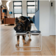 Ein Deutscher Schäferhund schnüffelt an einem modernen doppelten Futterstand mit schwarzen Schalen in einem stilvollen, gut beleuchteten Wohnzimmer.