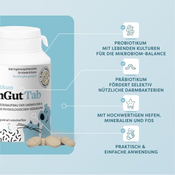 Dr. SAM DarmGut Tab probiotisches Ergänzungsmittel für Hunde und Katzen mit lebenden Kulturen, Präbiotika, Hefe, Mineralien und einfacher Anwendung.