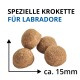 Vier runde braune Kroketten; Text: 'SPEZIELLE KROKETTE FÜR LABRADORE' und 'ca. 15 mm'.