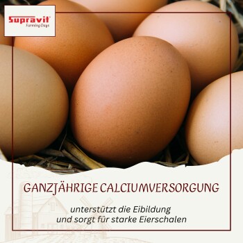 Weiße Körnchen für Geflügelfutter mit deutscher Fütterungsanleitung und Dosierung von 10-14g pro Huhn und Tag.