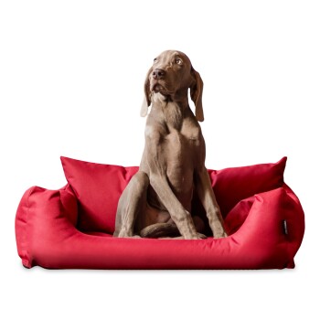 NEMO Hundebett Hundesofa S M L Hundekorb Katzenbett 65 80 100cm rot 80 cm, 22 cm, 60 cm