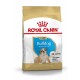 Royal Canin Bulldog Puppy food bag, featuring a puppy illustration, labeled for dogs up to 12 months old, with health benefits listed.