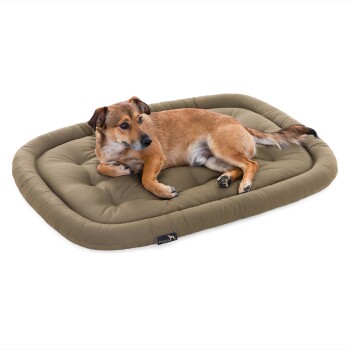 Pointer Hundekissen sandbraun XL