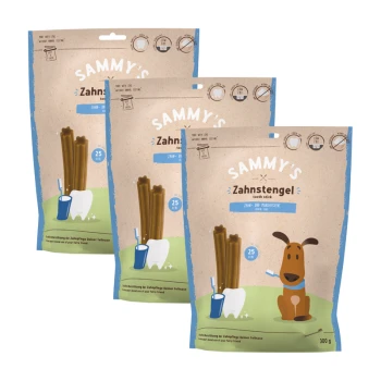 Drei Tüten von Sammys Zahnstengel für Haustiere, mit einem Cartoon-Hund und Bildern zur Zahnpflege, jeweils 300g mit 25 Sticks.