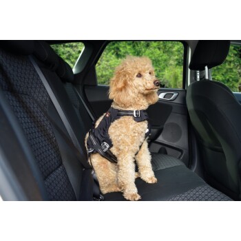 Luftdurchlässig Hunde Geschirr mit Verstellbar Sicherheitsgurt und Universalstecker Rot passend für alle Hunderassen und Meisten Autotypen L-Groß Pawaboo Hundegeschirr für Auto 