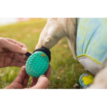 Eine Nahaufnahme einer Hand, die einen türkisfarbenen Hundeschuh am Pfoten eines Hundes anpasst, auf grünem Gras.