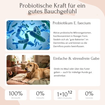 Eine gelbe Gastroflüssigkeit wird aus einem weißen Behälter in ein kleines Glasgefäß gegossen, mit einer bunten Box '01 GASTRO LIQUID' im Hintergrund.
