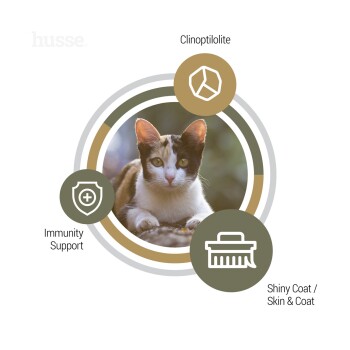 Eine dreifarbige Katze sitzt auf einem Baumstamm, umgeben von Symbolen, die 'Immununterstützung', 'Clinoptilolith' und 'Glänzendes Fell / Haut & Fell' anzeigen.