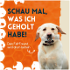Ein glücklicher Labrador hält ein Haustierprodukt vor einem orangefarbenen Waben-Hintergrund. Text: "SCHAU MAL, WAS ICH GEHOLT HABE!"