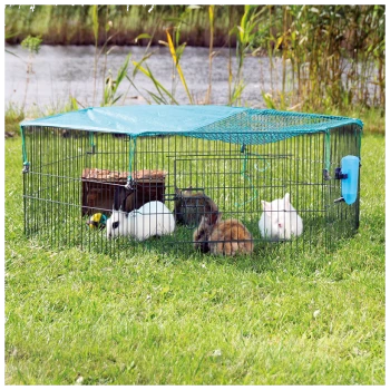 Vier Kaninchen, darunter ein weißes und braunes, befinden sich in einem Drahtspielplatz auf Gras am Wasser, mit einem Holzversteck und einer Wasserflasche.