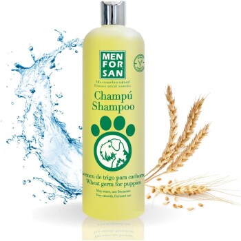 Gelbe Shampoo-Flasche mit der Aufschrift 'Men For San Champú Shampoo' mit einem Pfotenabdruck und Weizenähren, mit einem Hintergrund aus Wasserspritzern.