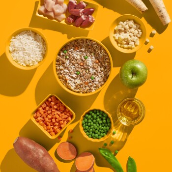 Ein leuchtend gelber Hintergrund zeigt eine Schüssel mit Haustierfutter mit Reis, Erbsen, Gemüse, frischem Huhn, Süßkartoffeln, Karotten und einem Apfel.
