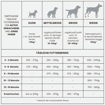 Infografik, die tägliche Futterempfehlungen für aktive erwachsene und junge Hunde nach Größe zeigt: kleine, mittlere, große und riesige Rassen.