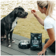 Frau füttert schwarz-weißen Hund auf einer Terrasse neben einer Metallschüssel und einer Hundefuttertüte mit der Aufschrift FISCH IM KOPP?