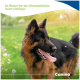 Deutscher Schäferhund hechelnd auf einer grünen Wiese; sichtbarer Text 'So fördert ihr die Nährstoffzufuhr' und 'Canina'.
