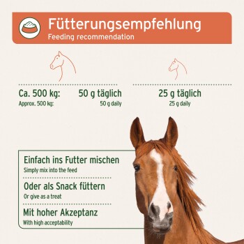 Bild eines Pferdes mit Fütterungshinweisen: 50g für 500kg Pferde, 25g für kleinere, plus Misch- und Behandlungsanweisungen.
