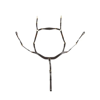 Braunes Leder-Haustiergeschirr mit verstellbaren Riemen und goldfarbenen Beschlägen, entworfen für Komfort und Kontrolle.