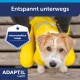 Kleiner beige-weißer Hund in gelbem Regenmantel zwischen gelben Gummistiefeln auf dem Deck, schaut nach oben; Text: 'Entspannt unterwegs', 'ADAPTIL Calm'.