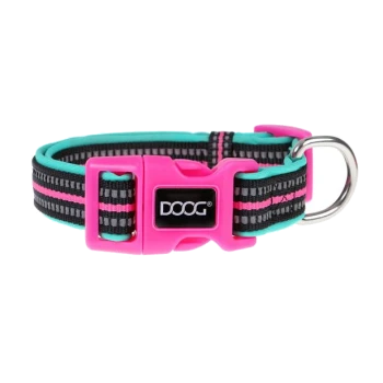 Bunter Hundehalsband mit einer pinken Schnalle, schwarzen und türkisfarbenen Streifen und einem silbernen D-Ring zur Leinenbefestigung.