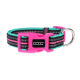 Bunter Hundehalsband mit einer pinken Schnalle, schwarzen und türkisfarbenen Streifen und einem silbernen D-Ring zur Leinenbefestigung.