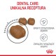 Karma dla zwierząt z trzema brązowymi kawałkami suchej karmy, z tekstem: "UNIKALNA RECEPTURA", "EFEKT CZYSZCZENIA ZĘBÓW" oraz "ZWIĄZKI WIĄŻĄCE WAPŃ."