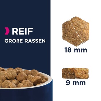 Karma dla zwierząt w misce w kolorze niebieskim, z etykietą 'REIF GROßE RASSEN', pokazującą rozmiary granulek 18 mm i 9 mm.
