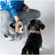 Eine Person in einer blauen Jacke kniet und hält ein weißes Spielzeug, während ein schwarzer Hund mit einem gestreiften Halsband und einer Leine davor steht.