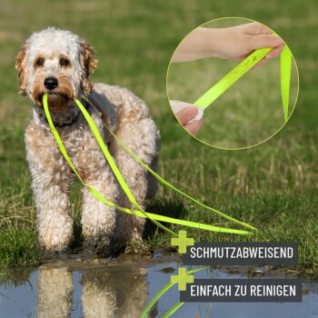 Lockiger Hund mit neongrüner Leine an einer Pfütze; Einsatz zeigt Hand, die die Leine abwischt. Text: SCHMUTZABWEISEND EINFACH ZU REINIGEN