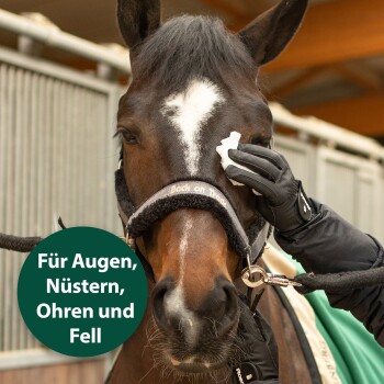Eine Person in schwarzen Handschuhen reinigt sanft das Gesicht eines Pferdes mit einem Tuch. Text in einem grünen Kreis lautet: "Für Augen, Nüstern, Ohren und Fell."