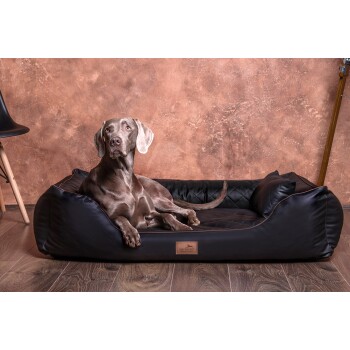 Ein grauer Weimaraner-Hund entspannt sich auf einem stilvollen schwarzen Haustierbett mit einem gesteppten Design, vor einer strukturierten braunen Wand.