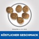 Bild von sechs Haustierfutterpellets, die in einem kreisförmigen Muster angeordnet sind, mit einer Größenangabe von etwa 4,5 x 8mm. Text lautet "Köstlicher Geschmack."