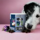 Eine Nahaufnahme eines Hundes, der einen blauen Behälter mit der Aufschrift 'TIERLIEBHABER Z-SNACK' mit Pfotenabdrücken und Haustiersymbolen schnüffelt, umgeben von Leckerlis und Lavendel.