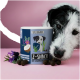 Eine Nahaufnahme eines Hundes, der einen blauen Behälter mit der Aufschrift 'TIERLIEBHABER Z-SNACK' mit Pfotenabdrücken und Haustiersymbolen schnüffelt, umgeben von Leckerlis und Lavendel.