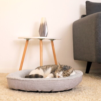 Getigerte Katze schläft eingerollt in einem runden, grauen, plüschigen Haustierbett auf beigem Teppich neben einem Beistelltisch im Mid-Century-Stil und einem grauen Sofa.