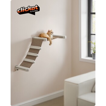 Eine hellorangefarbene Katze, die auf einem wandmontierten Katzenregal mit einer beigen Rampe neben einem Fenster mit einer Pflanze entspannt, mit dem Logo "clickat by feandrea."
