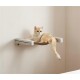 Eine flauschige cremefarbene Katze, die auf einem modernen Holzregal liegt, mit einer minimalistischen beige Wand im Hintergrund.