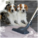 Zwei Hunde sitzen auf einem weichen rosa Teppich, während eine Staubsaugerdüse in der Nähe positioniert ist, was auf die Pflege oder Reinigung von Haustieren hindeutet.