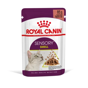 Royal Canin Sensory Smell kattenvoer zakje, met een illustratie van een grijze kat, met stukjes in jus, 85g, ter bevordering van sensorische stimulatie.