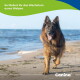 Langhaariger Deutscher Schäferhund an einem Sandstrand; Text: „So fördert ihr das Wachstum eures Welpen“ und „Canina“.