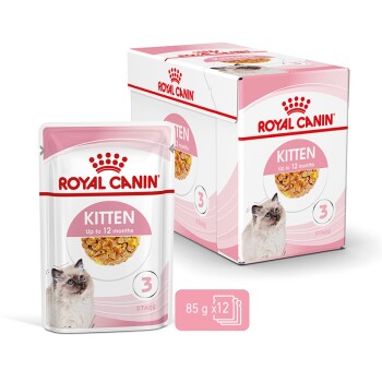 Royal Canin Kitten 12x85g in Gelee