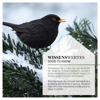 Ein kleiner Vogel, der auf einem schneebedeckten Kiefernbereich sitzt, mit Textüberlagerung in Deutsch und Englisch über Nistkästen für Vögel.