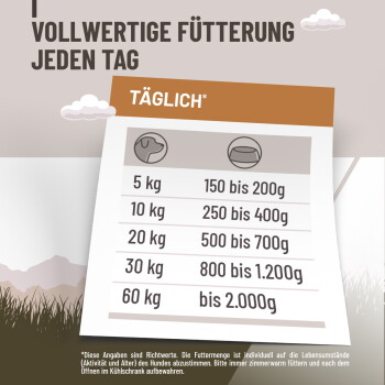 Braun-weißer Hund sitzt und schaut nach oben neben einer Sprechblase mit deutscher Überschrift ‚REINES MUSKELFLEISCH‘