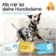 Beagle in einem schwarzen Mantel mit dem Text: "Bester Komfort," "extrem saugstark," "5 Größen," "3 Einstellmöglichkeiten," "weiches Innenfutter."