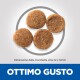 Vier ronde huisdierenvoerbrokjes weergegeven op een lichte achtergrond, met tekst die zegt 'Dimensione della crocchetta circa 12 x 12mm' en 'OTTIMO GUSTO.'