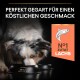 Ein Merle-Hund schnüffelt an einer schwarzen Schüssel mit dem Text: "Perfekt gegart für einen köstlichen Geschmack" und "Nr. 1 Zutat Lachs" auf einem orangefarbenen Hintergrund.