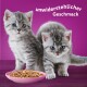Whiskas Junior Wielopak Drób Wybór w galarecie 12 x 85 g